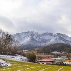 ふるさと納税がもたらすメリットとは？増やすにはどんな努力が必要か