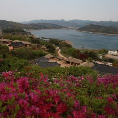 ふるさと納税の正しいやり方は？分かりやすく解説します！