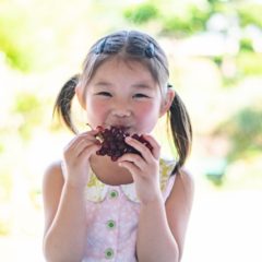 ぶどうを食べすぎるとどうなる？リスクや適量の目安などを徹底解説