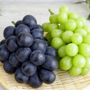 ぶどうの人気の品種とは？今注目したいおすすめを一挙にご紹介