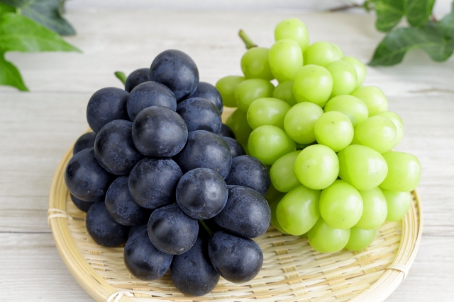 ぶどうの人気品種のピオーネとシャインマスカット