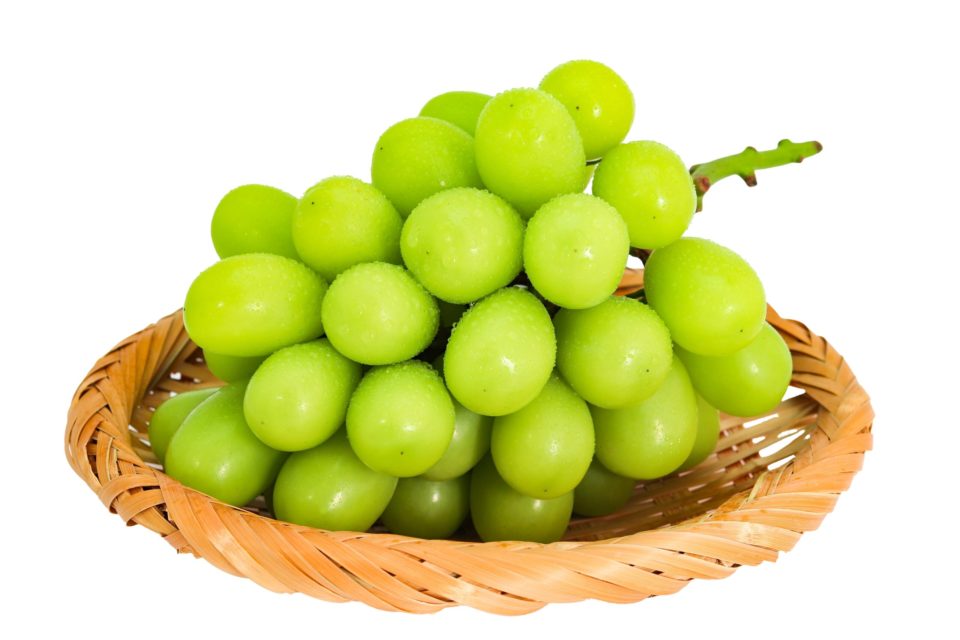 シャインマスカットとは白系大粒ぶどう