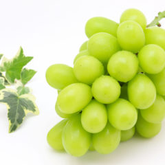 シャインマスカットは皮ごと楽しめる！その理由や剥き方をご紹介