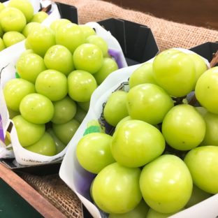 シャインマスカットの食べ頃は？長持ちさせる保存方法もご紹介！