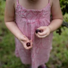 快感！ぶどうの皮が簡単にスルスル～と取れる剥き方のコツ！