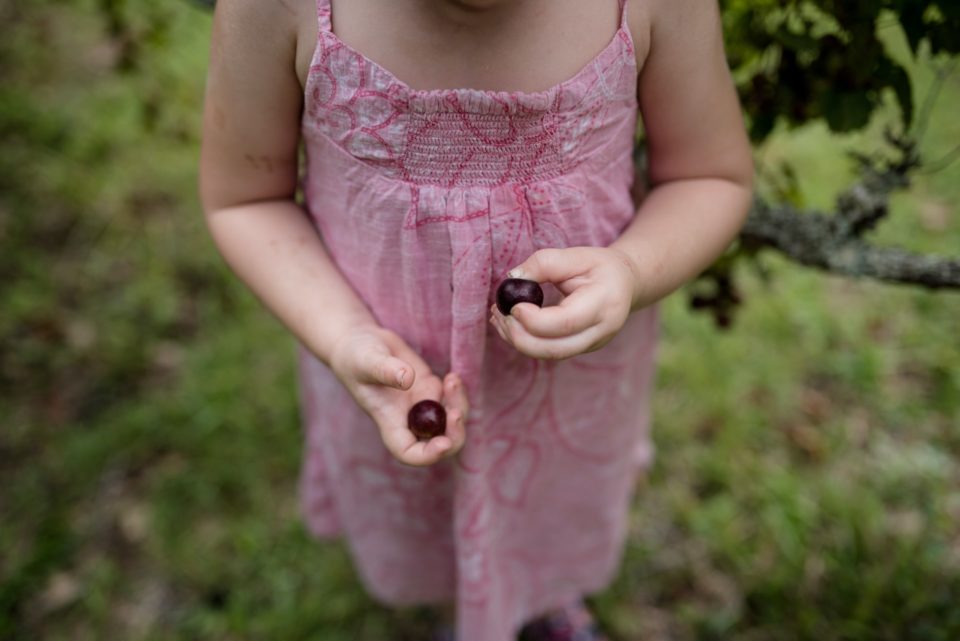 ぶどうの皮を剥こうとしている女の子