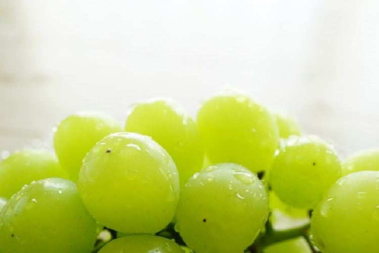 赤ちゃんにも良い栄養素があるシャインマスカット