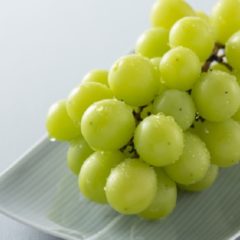 シャインマスカットを食べ過ぎると太るって、本当？