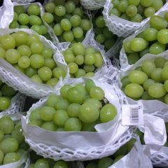 シャインマスカットとマスカット・オブ・アレキサンドリアの違いは？