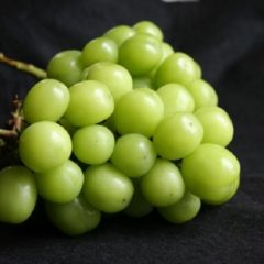 シャインマスカットは腐るとどうなる？その見分け方とは