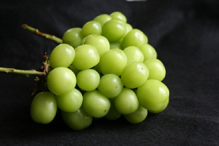 腐ると身が柔らかくなり異様な酸味が感じられるシャインマスカット