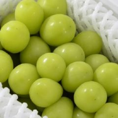 シャインマスカットが贈り物によく用いられるのはなぜ？