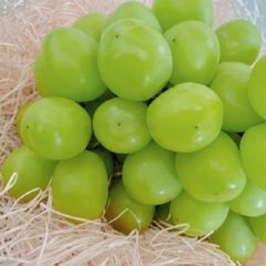 シャインマスカットのポリフェノールにはどのような効果がある？