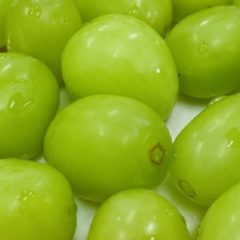 シャインマスカットの栄養と身体への効能について解説